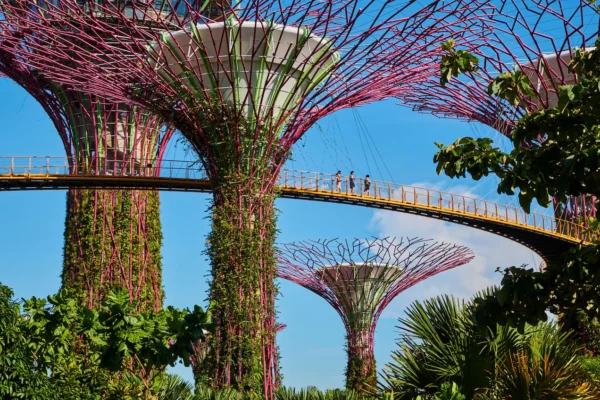 Everything to Know About Singapore